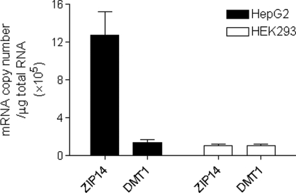 FIGURE 3.