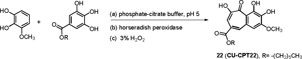 Scheme 1