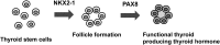 <b>FIG. 7.</b>
