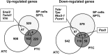 <b>FIG. 6.</b>