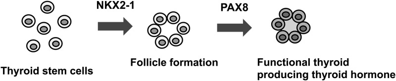 FIG. 7.