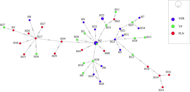 Fig. 6.