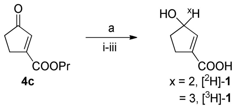 Scheme 4