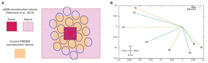 Figure 4—figure supplement 2.