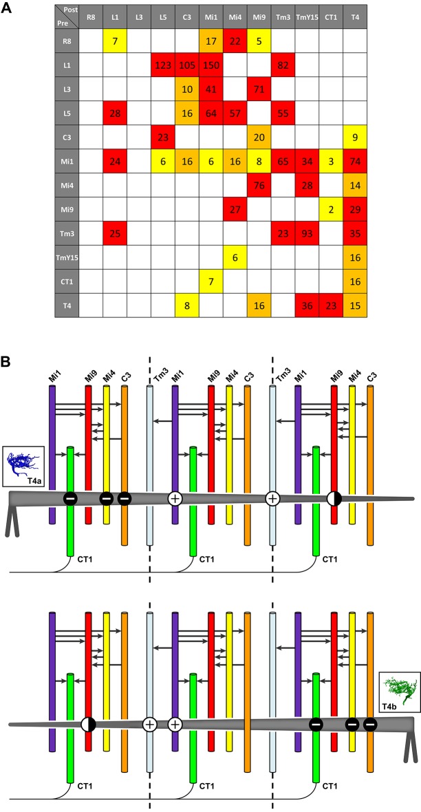 Figure 6.