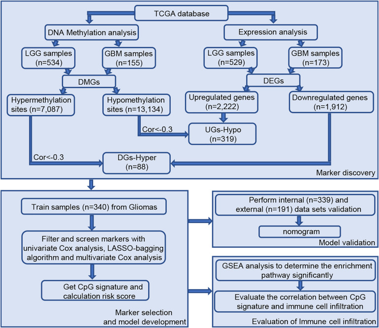 FIGURE 1