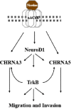 FIGURE 8: