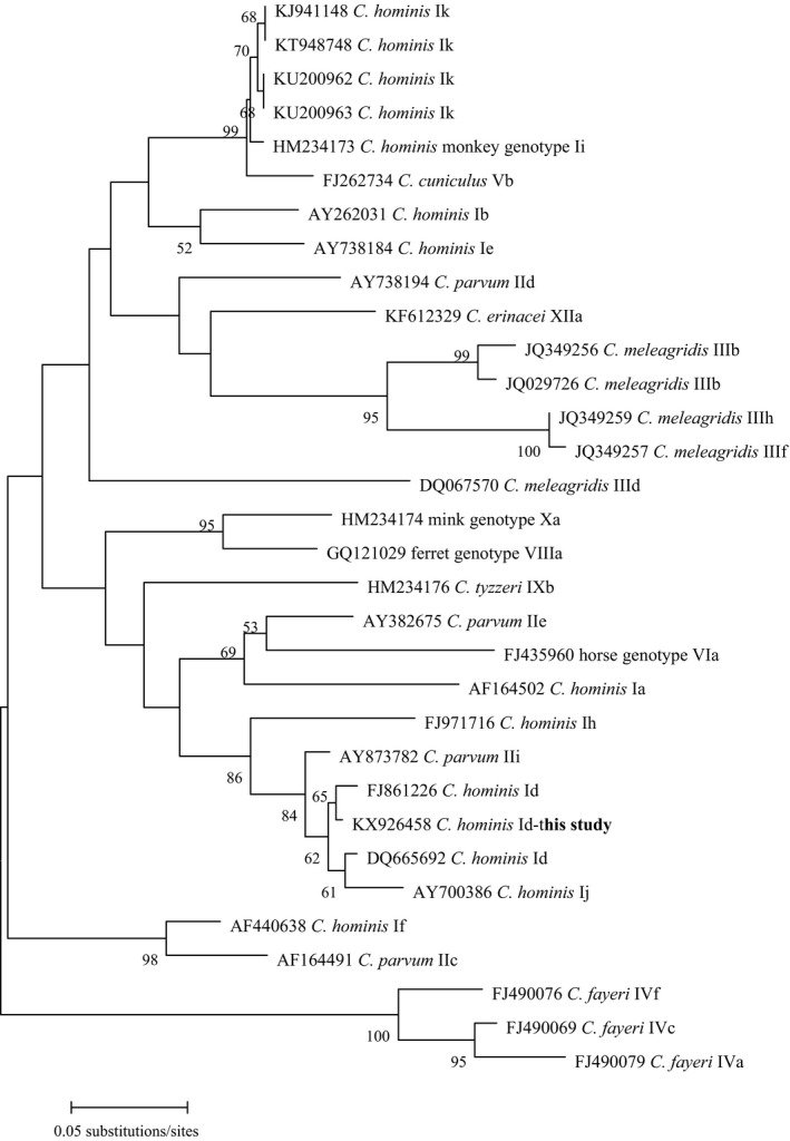 Figure 1