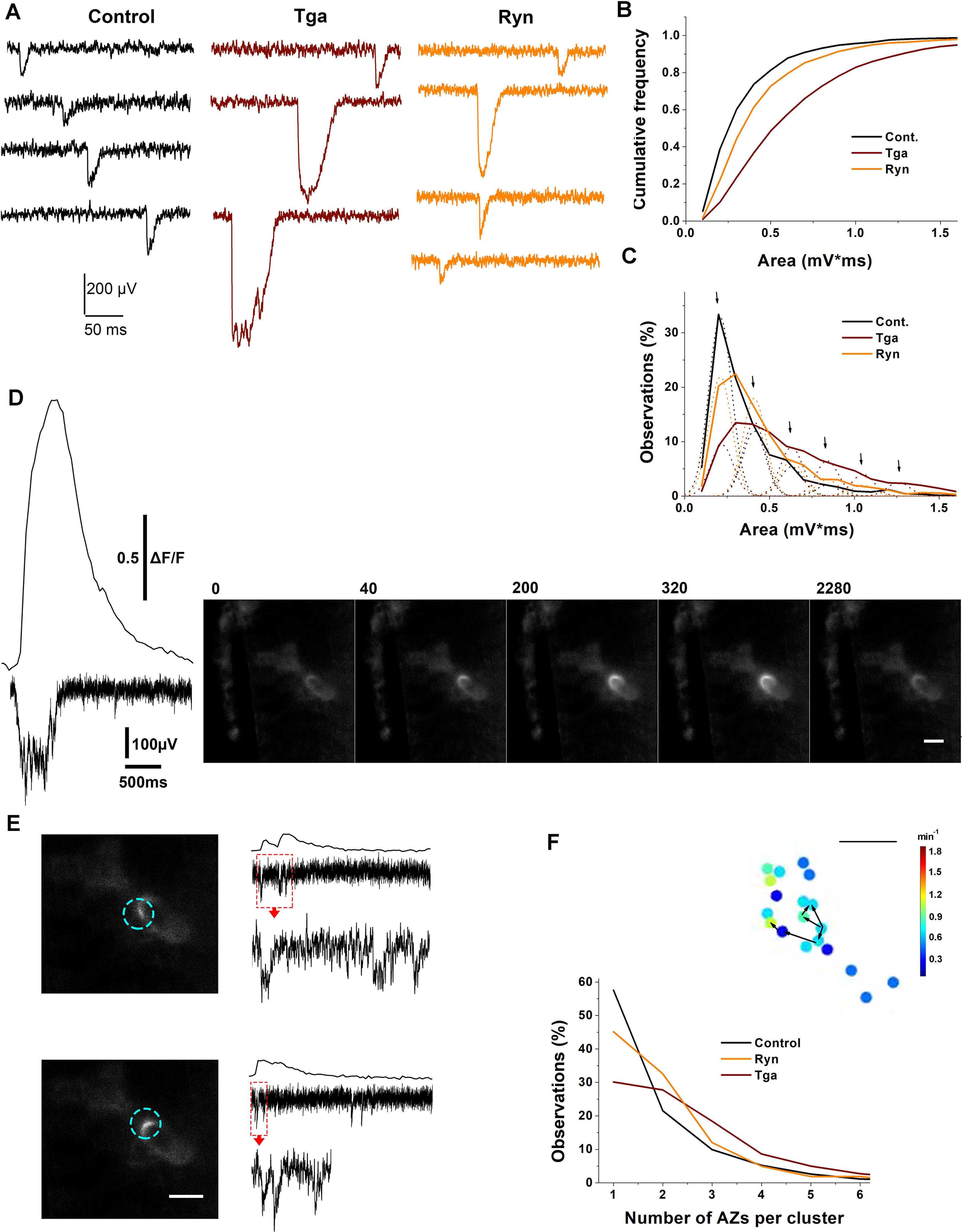 Figure 11.