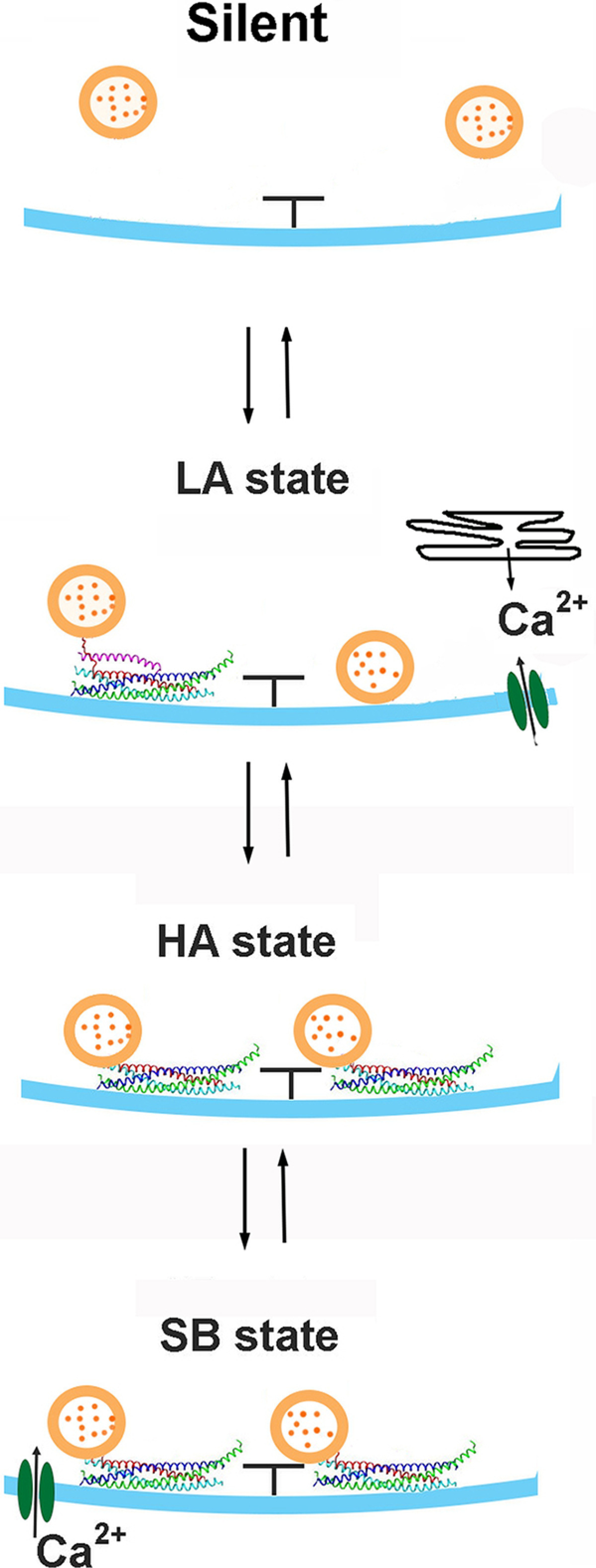 Figure 12.