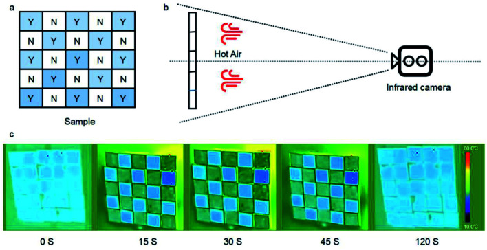 Fig. 12