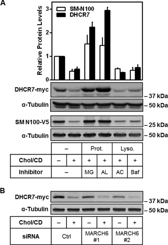 FIGURE 7.