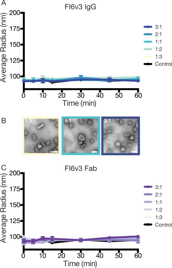 FIG 7