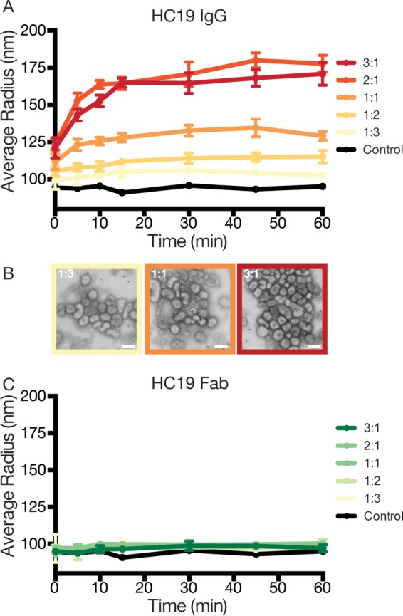 FIG 6