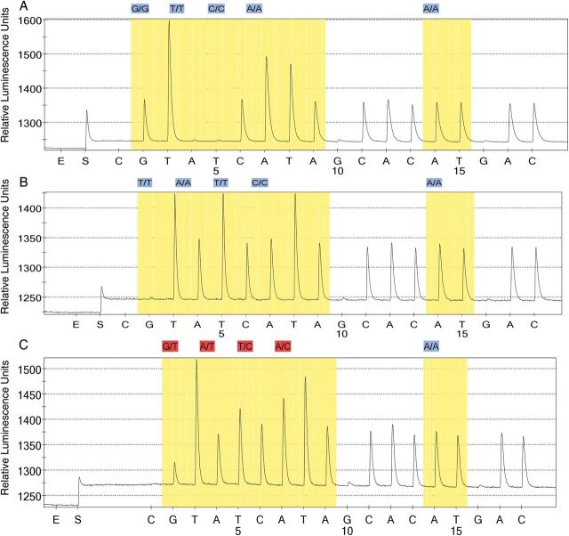 Figure 2.