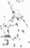 276-1