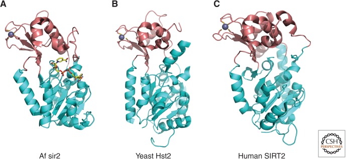 Figure 4.