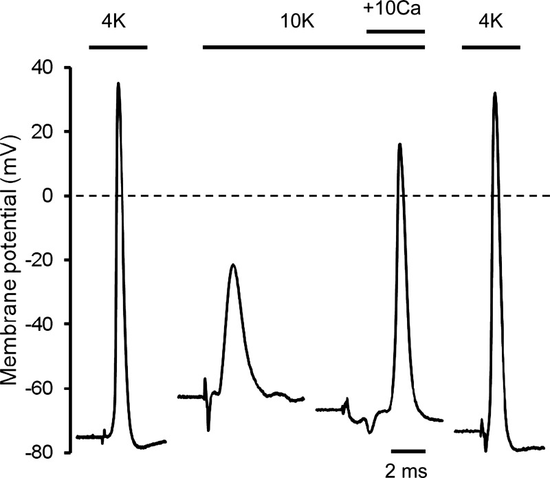 Fig. 4.