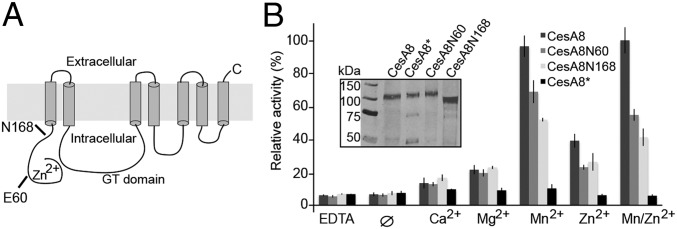 Fig. 5.