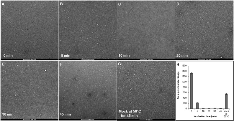 Fig. S6.