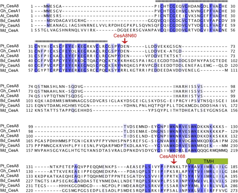 Fig. S4.