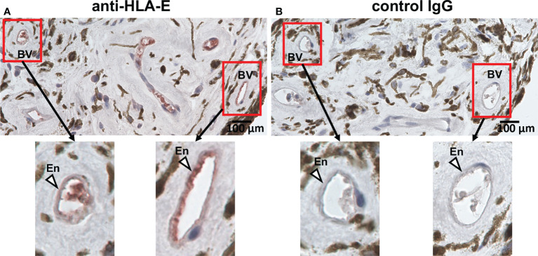 Figure 6