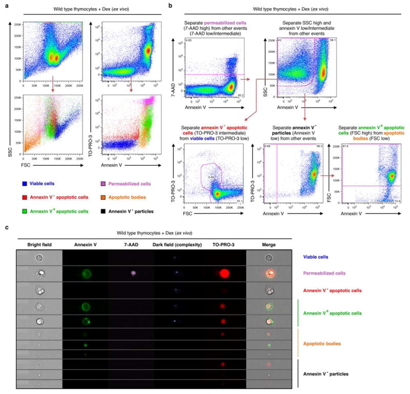 Extended Data Figure 5