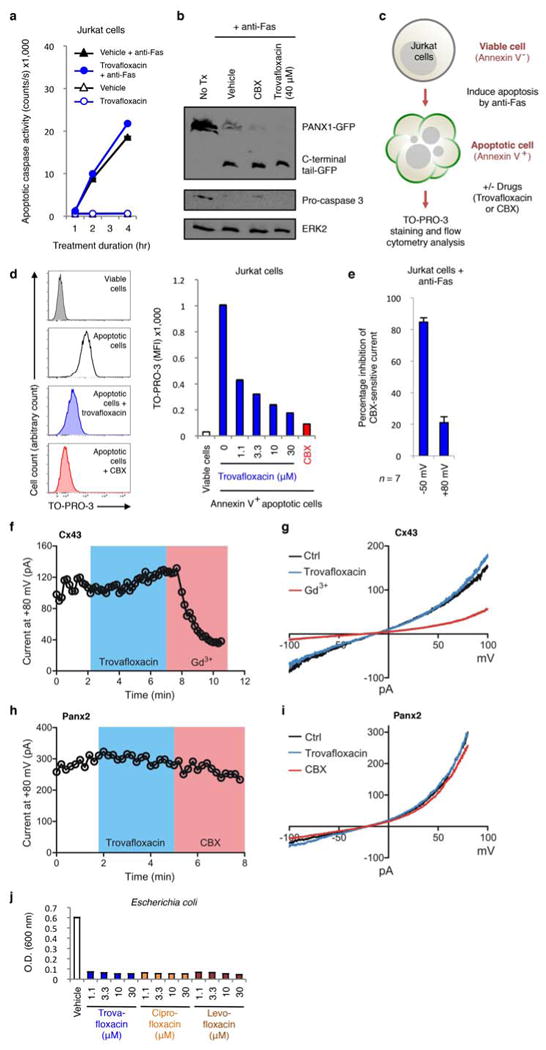 Extended Data Figure 1