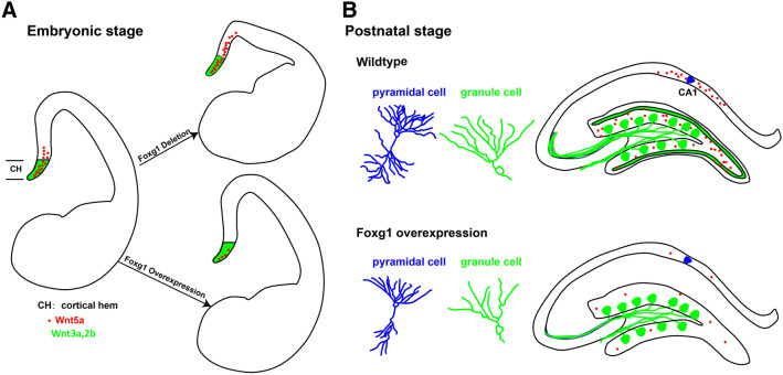 Fig. 8