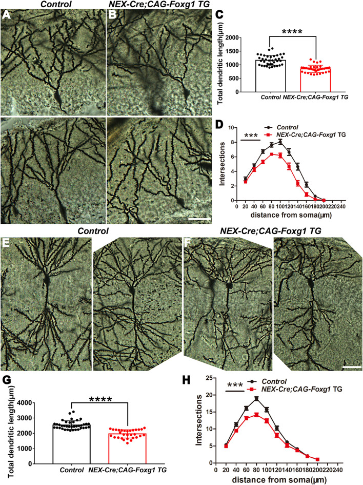 Fig. 6