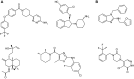 FIGURE 19.