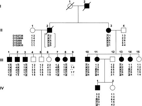 Figure  1