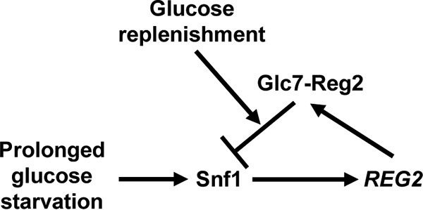 FIG 10