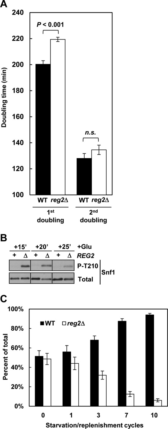 FIG 9