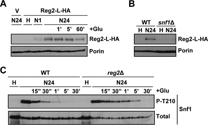 FIG 8