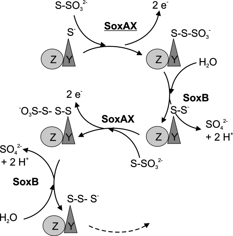 Fig. 2