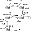 Fig. 2