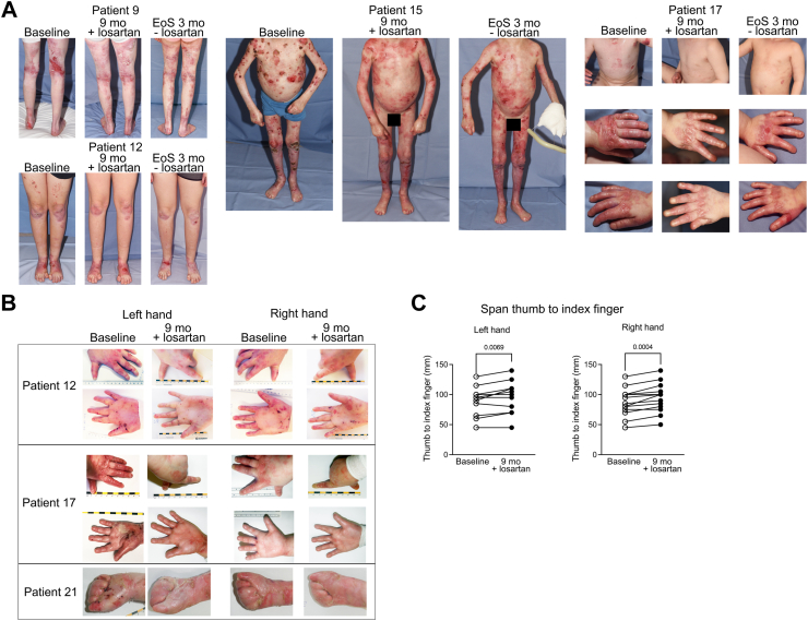 Fig. 4