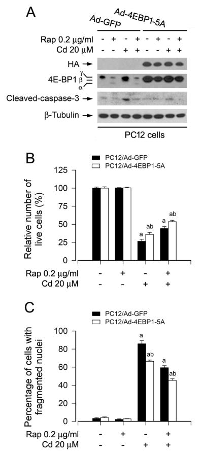 Fig. 5