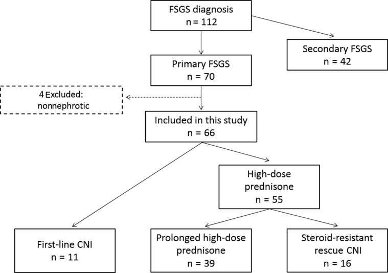 Figure 1