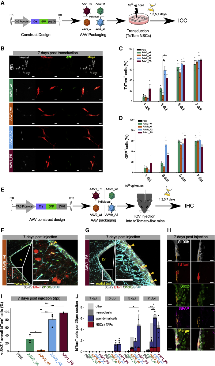 Figure 2