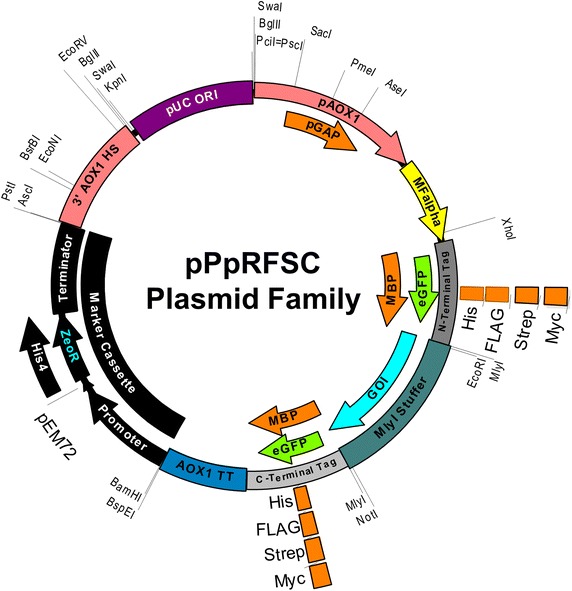 Figure 2