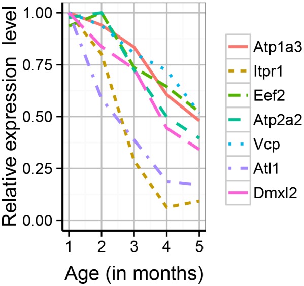 Figure 6—figure supplement 2.