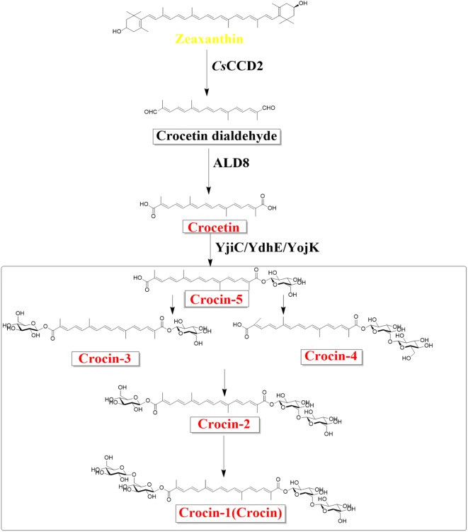 Fig. 1