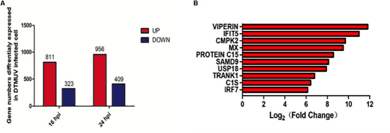 FIGURE 2