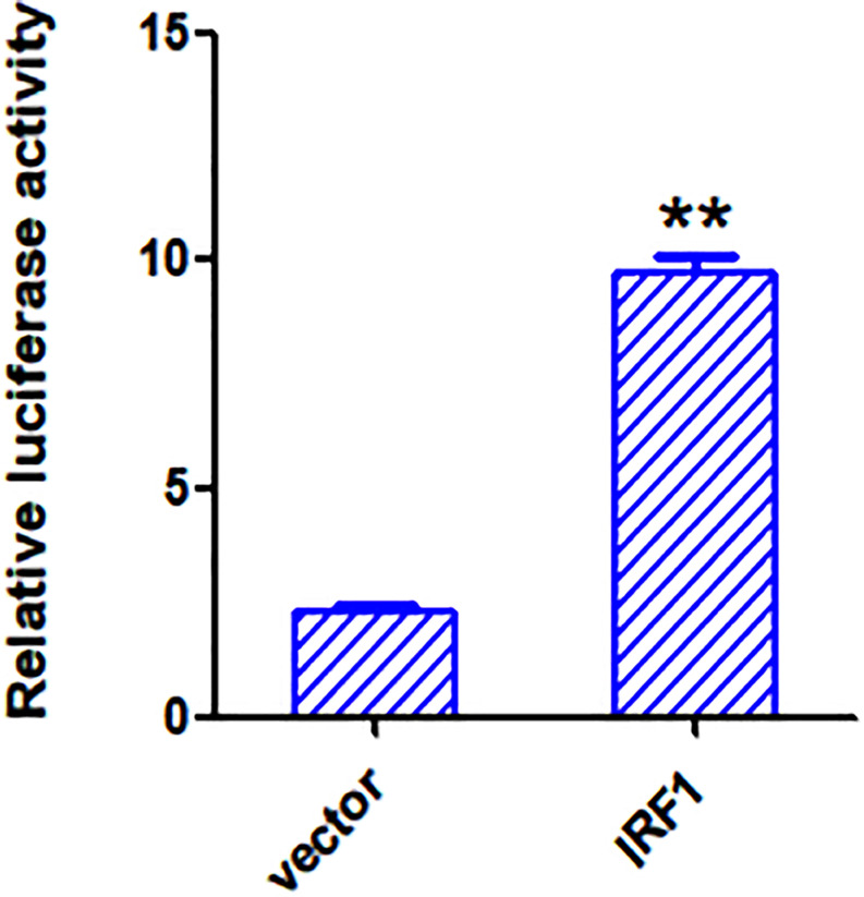 FIGURE 9