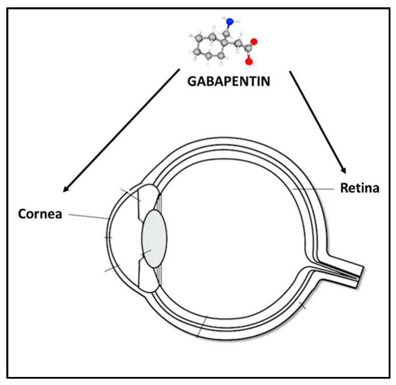 gabapentin for eye pain