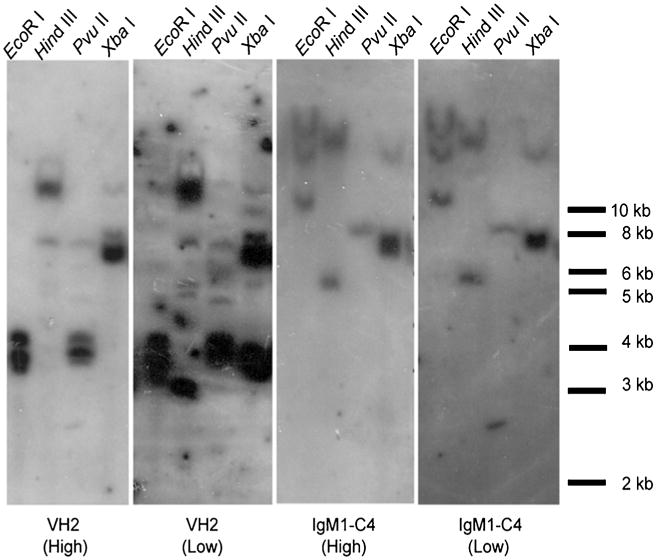 Fig. 9