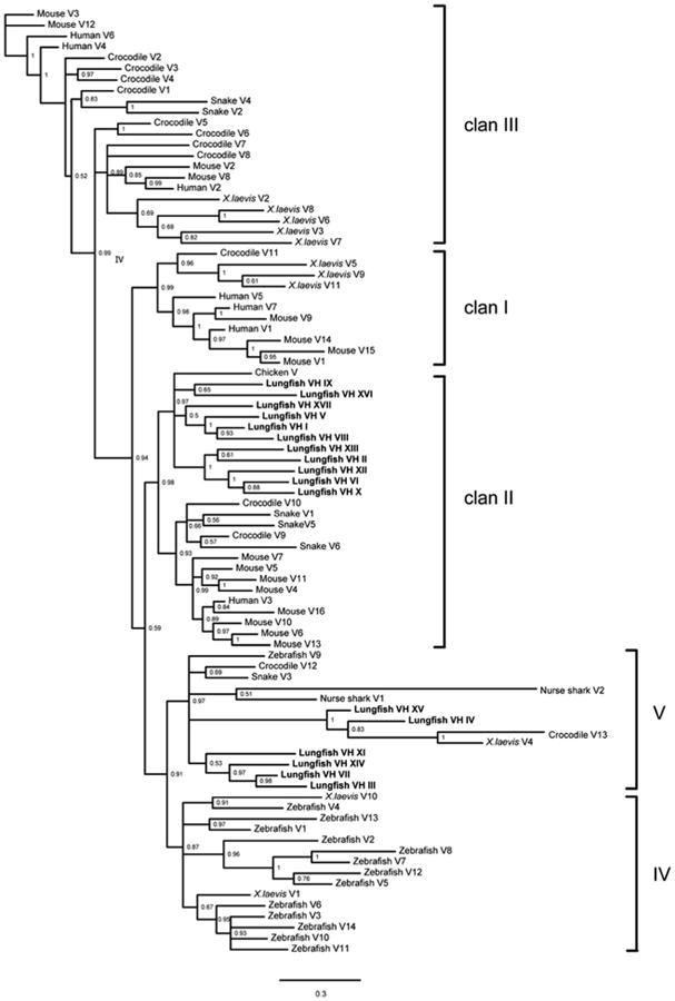 Fig. 8