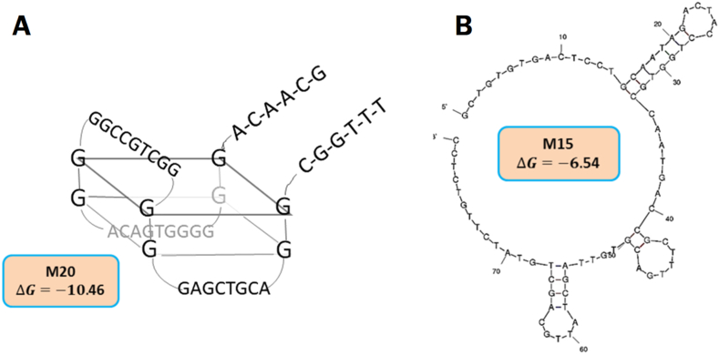 Figure 5